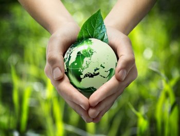 construction service