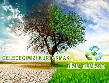 construction service